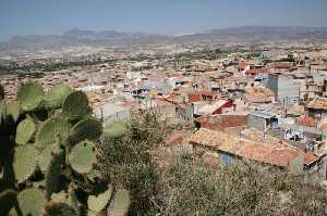 De peque�o sub�a al Lugar Alto a curiosear [Abanilla_Riquelme Salar] 