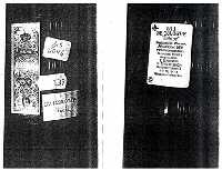 colon (Al pulsar se abrir� la foto en una nueva ventana.)