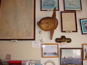  Mapas cartogr�ficos 
