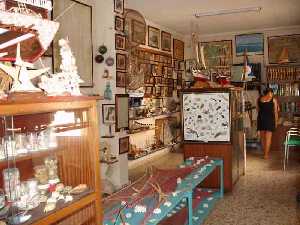 Moluscos, conchas, fotograf�as, nasas, maquetas 