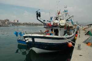 Puerto Pesquero en Puerto de Mazarrn