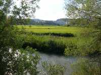 Excursi�n R�o Segura