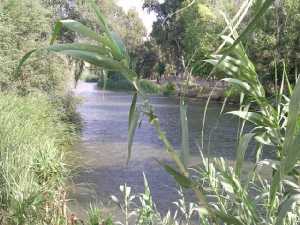 Excursi�n R�o Segura