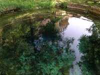 Excursi�n R�o Segura