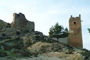 Castillo de Pliego