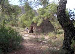 Ca��n de la Mulata