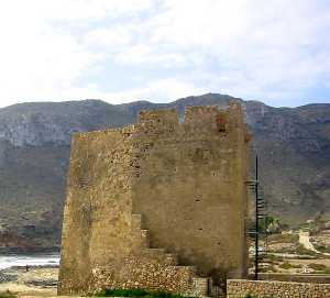 Vista de la Torre