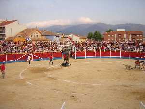 Tarde de toros 