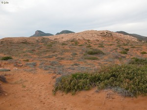 Calblanque