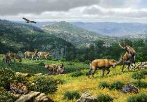 Reconstruccin del hbitat de la Sierra de Quibas 