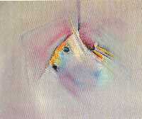 �leo/Tela  46x38 cm