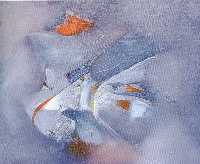 �leo/Tela 46x38  cm