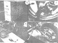 moto junior (Al pulsar se abrir� la foto en una nueva ventana.)