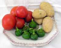 Bodeg�n de Ingredientes 