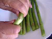 Cortando los Esp�rragos 