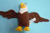 �guila suave (Al pulsar se abrir� la foto en una nueva ventana.)