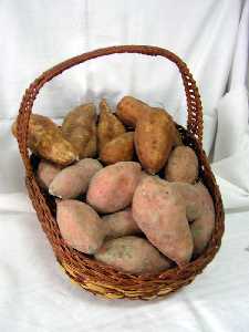 Bodeg�n de Boniatos [Santa Cruz]