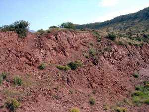 Areniscas silíceas triásicas del Subbético externo 