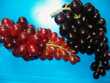 uvas decorativas
