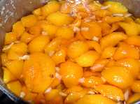 Melocot�n cociendo