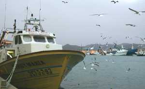 Flota pesquera de bajura [Pescado]