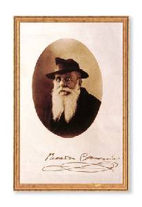 Ricardo Codorn�u, el apostol del �rbol